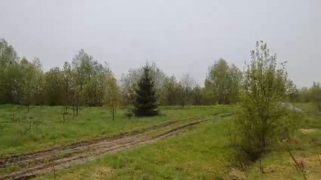 Видео 1479 смотреть онлайн