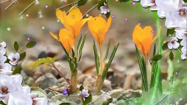 Весенние цветы смотреть онлайн