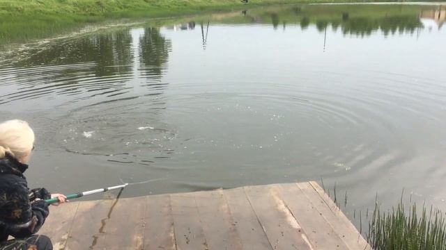 Щука ?без поводка? смотреть онлайн