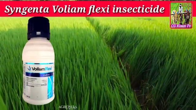 Voliam Flexi Insecticide | Thiamethoxam + Chlorantraniliprole | Voliam Flexi Price Dose Work Result