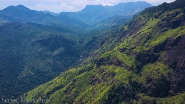 Шри Ланка 4к.mp4