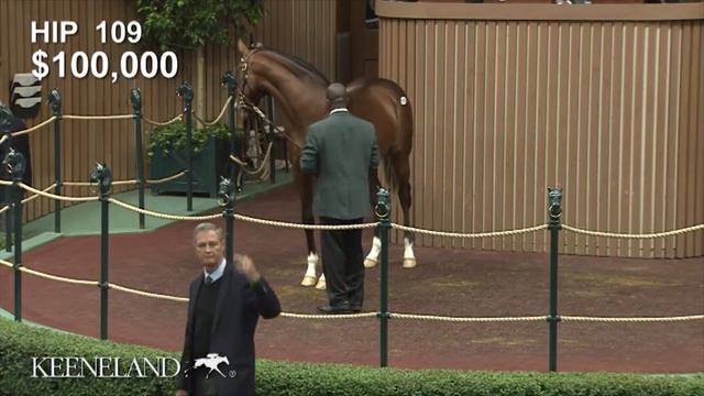 War of Will as a Keeneland September Yearling смотреть онлайн