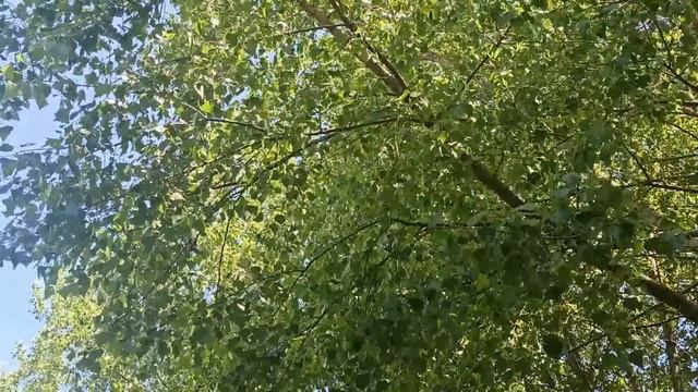 25 июня народный праздник Петр Солнцеворот. Что нельзя делать. Народные приметы и традиции. смотреть онлайн