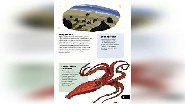 Библиотечный урок «Хочу все знать» для учащихся начальных классов смотреть онлайн