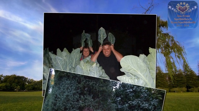 В память о нашей любимой, Мамочке! Слайд шоу на заказ смотреть онлайн