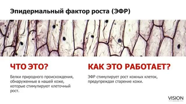 Доктор Элмантас Поцевичус рассказывает о SKINCARE - новой линии косметики. смотреть онлайн