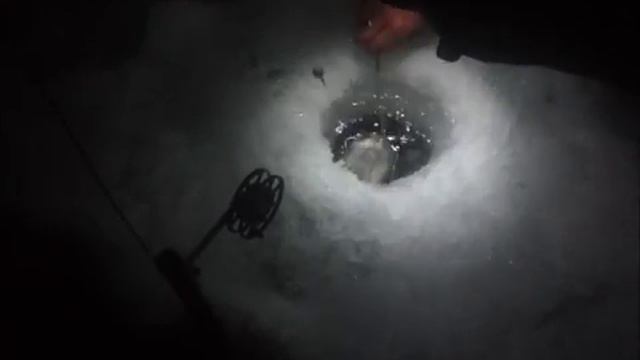 Рыболовный клуб Фион на Рузском водохранилище смотреть онлайн