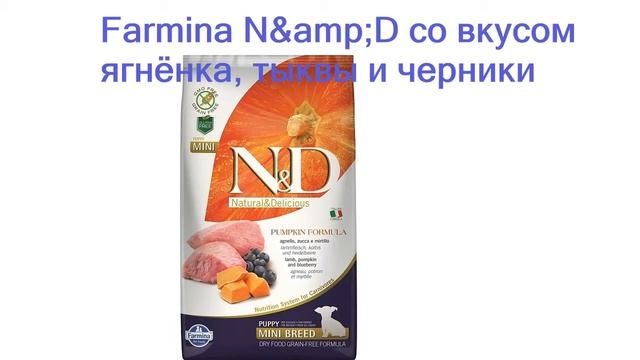 Лучший корм для йорка по советам ветеринаров - рейтинг 2023 года смотреть онлайн