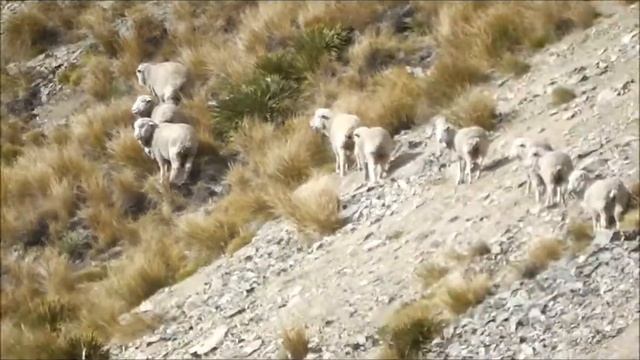 Zoom Test On The Panasonic HC-V100 Camcorder смотреть онлайн