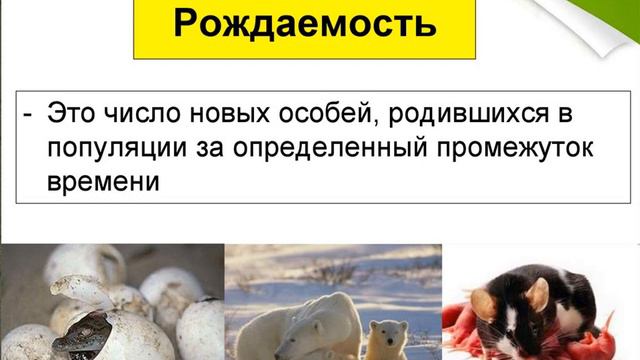 Основные экологические характеристики популяции смотреть онлайн