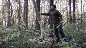 Рубка дерева ножом | Метод бобра | Высечение искры из стали
