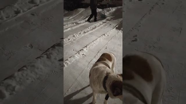 Эффективный скребок для уборки снега смотреть онлайн