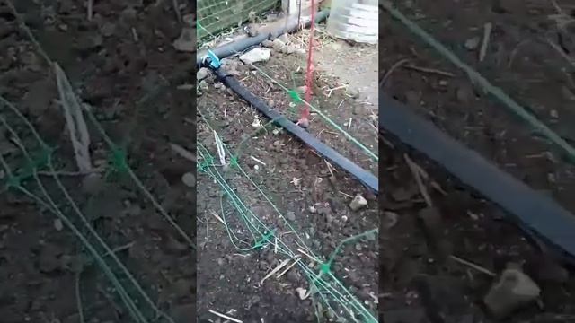 Занимаемся любимыми делами/Съездили на оптовый склад... смотреть онлайн