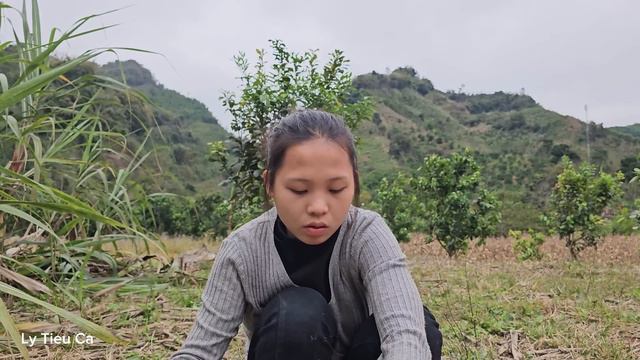 17 Year Old Single Mother - Sugarcane Harvest & Mountain Farm Journey смотреть онлайн