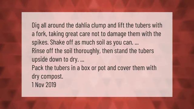 Can you leave dahlias in the ground over winter? смотреть онлайн