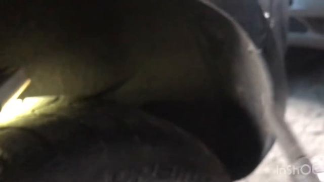 Домашний Дизайнер