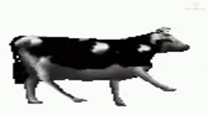 Dancing Polish Cow 10 Hours