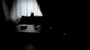 Прожектор «ЭРА» с датчиком движения и освещенности.