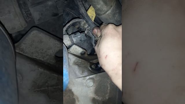 Программирование PHP