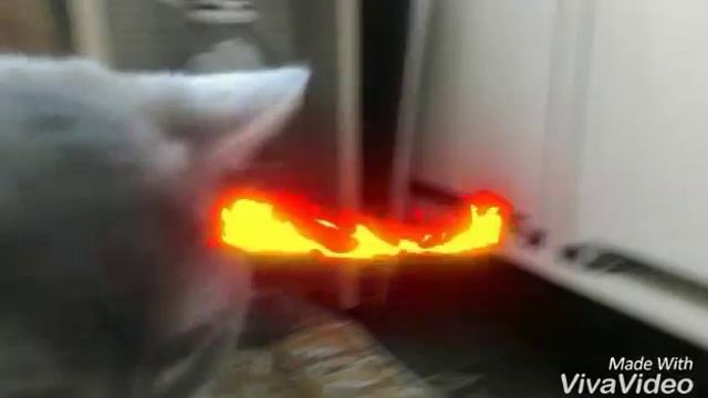 ПОНЧИК ПОД ПЕСНЮ ВЕРЫ БРЕЖНЕВОЙ "БЛИЗКИЕ ЛЮДИ" смотреть онлайн