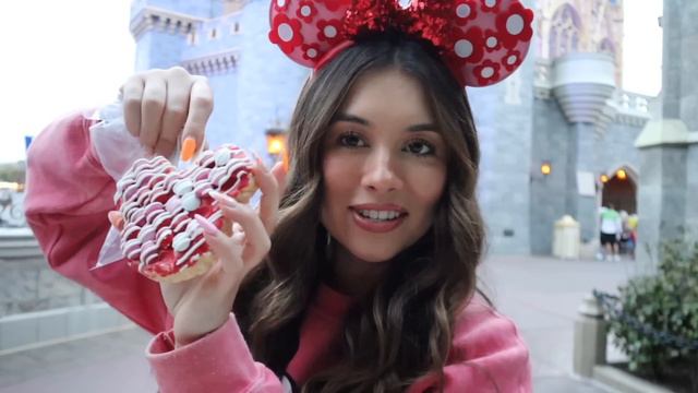 valentine's day vlog!! pink coffee, magic kingdom, dating q&a 💓 смотреть онлайн