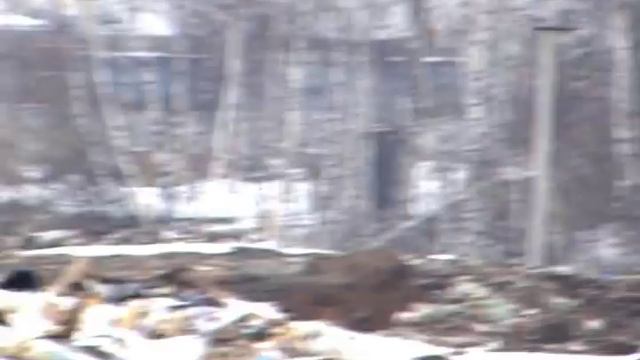 Свалки: смертоносное беззаконие смотреть онлайн