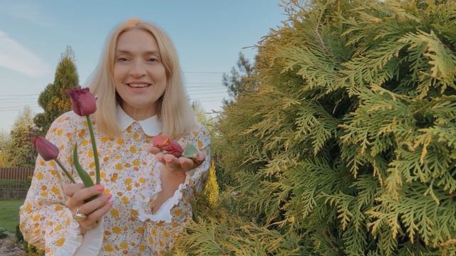 6 СОВЕТОВ . Как сохранить ?Тюльпаны не выкапывайте. Лёгкий сад. Уход за луковичными. смотреть онлайн