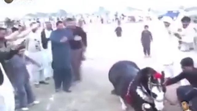 Танцуй лошадь танцуй смотреть онлайн