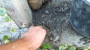 ШТУКАТУРЮ ФАСАД ИЗ ШЛАКОБЛОКОВ 70Х ГОДОВ