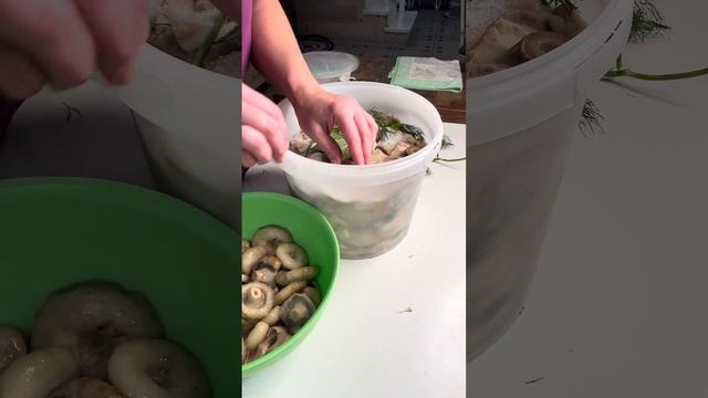 Кулинарные проекты с Валентиной