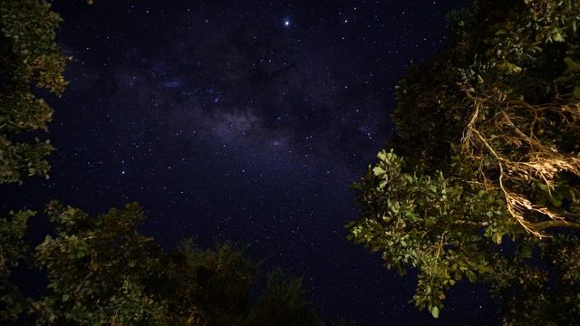 Не можешь уснуть? Пение сверчков тебе поможет в этом. Здоровый и глубокий сон.