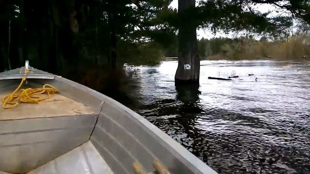 д. Стеклофилины, река Вятка, паводок 2017, у мишени. смотреть онлайн