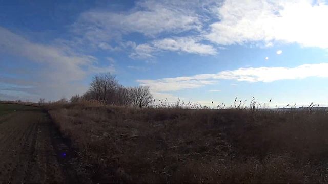 Охота на утку с подхода в каналах Охота с ТОЗ 34 смотреть онлайн