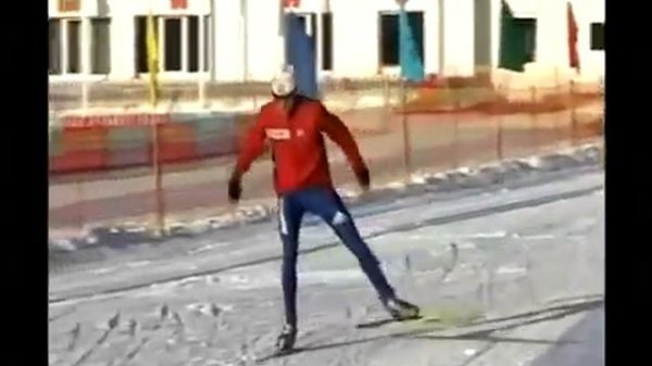 Беговые лыжи   Техника Конькового Хода