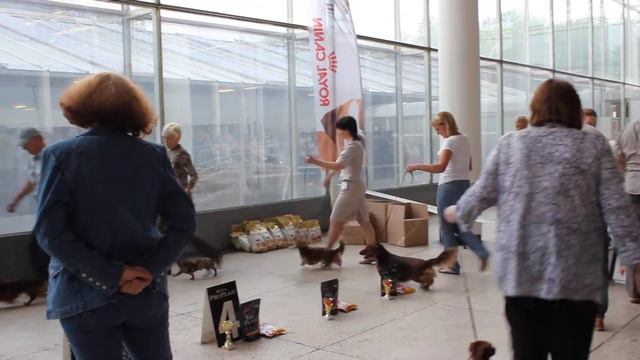 MVI_5587.MOV чемпионат «ТАКСА --2012» смотреть онлайн