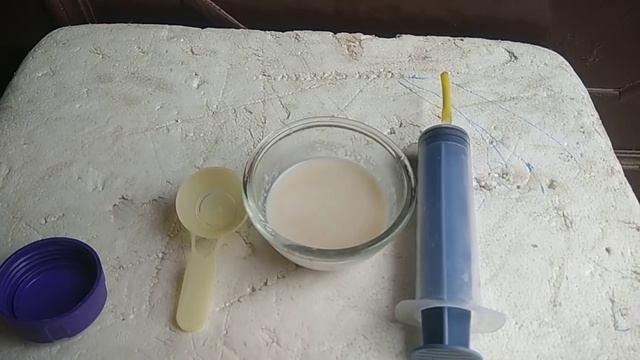 Pigeon baby food, how to feed them? смотреть онлайн