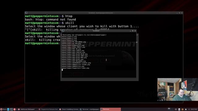 Peppermint OS 11 First Look - Peppermint OS Now With Debian 11 смотреть онлайн