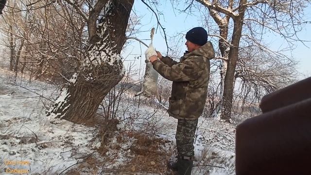 Самая быстрая охота на Зайца. Разделываю зайца в лесу. смотреть онлайн