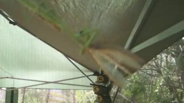 Остров Богомолов смотреть онлайн