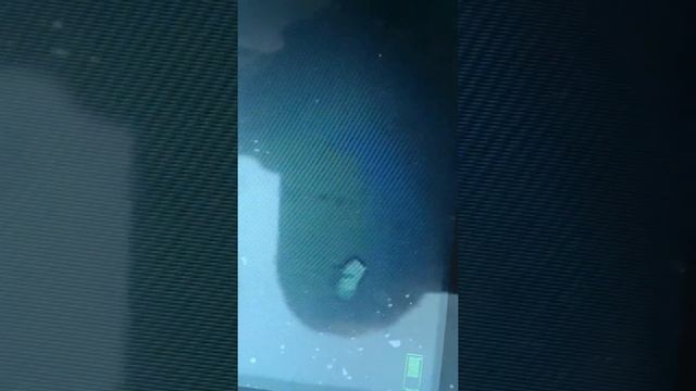 Подлёдная рыбалка с камерой смотреть онлайн