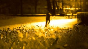 Фон природа футажи для видеомонтажа HD