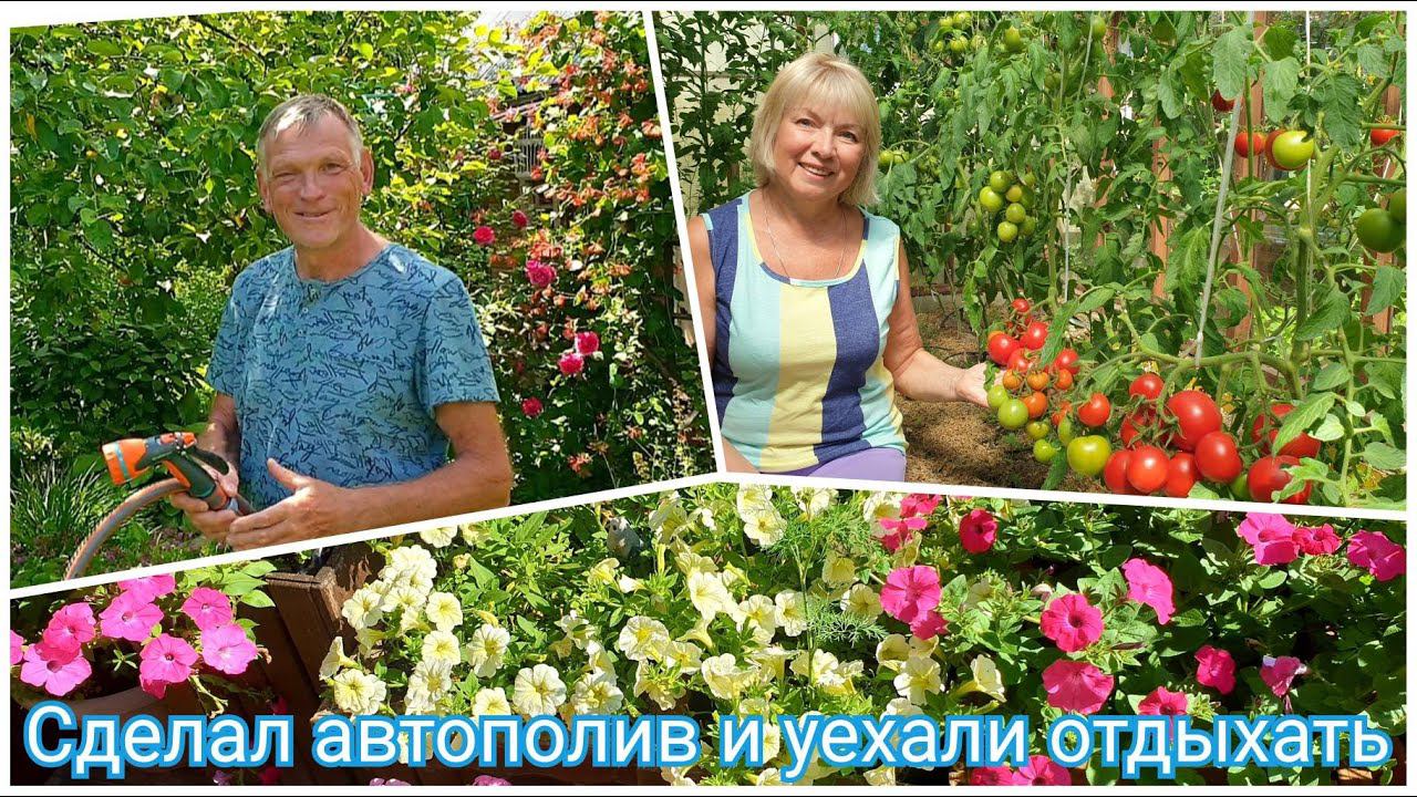 Урожай без ухода АВТОПОЛИВ сделать просто.Новый ШЛАНГ смотреть онлайн