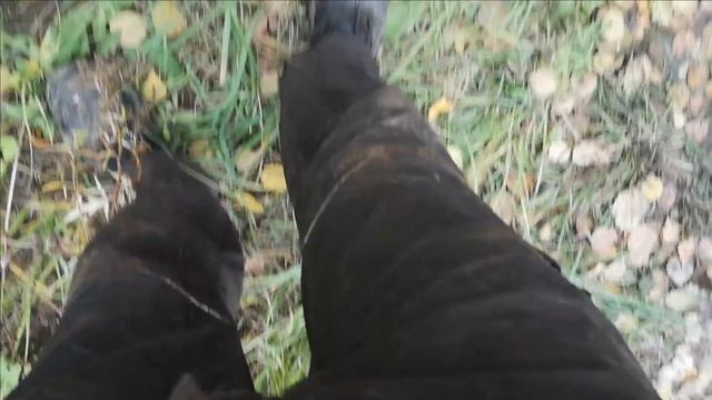 #25 Наши руки не для скуки ))) Из Москвы на Урал. смотреть онлайн