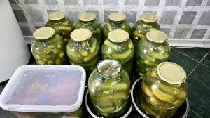 БОЧКОВЫЕ ОГУРЦЫ на ЗИМУ! ХОЛОДНЫЙ СПОСОБ! БЕЗ УКСУСА! Выпуск №809