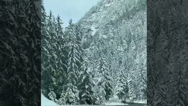 На самом деле так редко можно встретить человека | Автор ʙ.ᴀʀᴀʏ смотреть онлайн