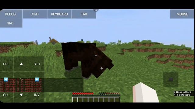 Apply any skin and cape in server or world || 100% working, no clickbait || local account || No fil смотреть онлайн