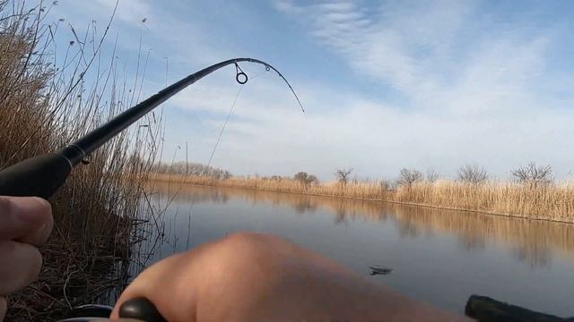 АКТИВНЫЙ КЛЁВ ЩУКИ.РЫБАЛКА В Ленинской ВОЛГА-АХТУБИНСКОЙ ПОЙМЕ. смотреть онлайн