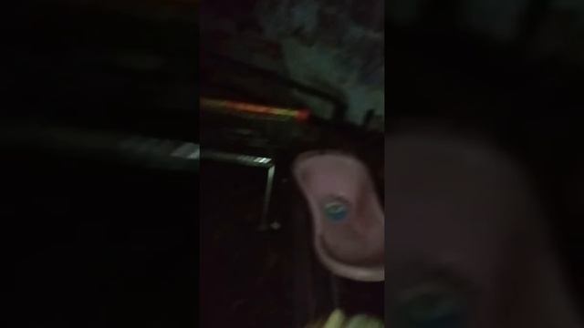 Серая крыса пасюк и декораха смотреть онлайн