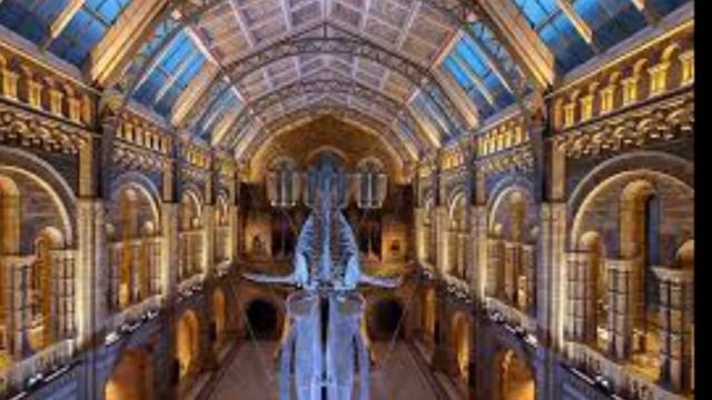 Tourism in London Natural History Museum смотреть онлайн