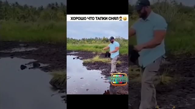 Раз 100 посмотрел и всё время ржуууу... #тапочки #шутки #шутники #смех #юмор #смешныевидео #приколы смотреть онлайн